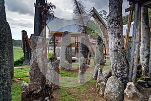 Ceremony site with megaliths. Bori Kalimbuang. Tana Toraja. Indonesia photo