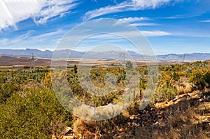 The Ceres valley and the Matroosberg mountain range in the background.