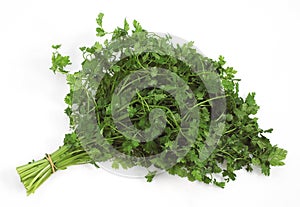 CERFEUIL anthriscus cerefolium