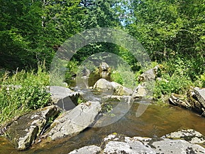 Cerna River, Czechia