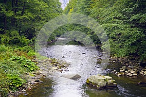 The Cerna River in forest, Romania.