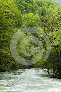 Cerna River In Romania