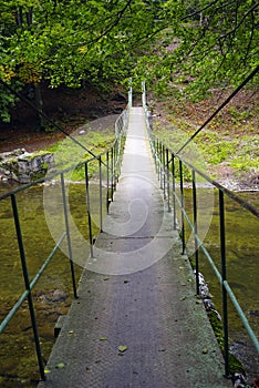 Bridge in forest over Cerna River, Romania photo