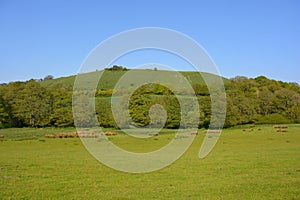 Cerne Abbas Giant, Dorset England