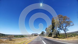 Cerretera recta al horizonte con arboles al costado y cielo azul con estrella luminosa photo