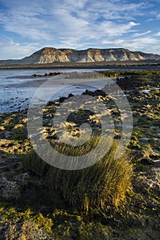 Cerro Avanzado protected area, , World Heritage Site, Chubut photo