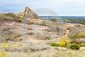 Cerro Del Muerto