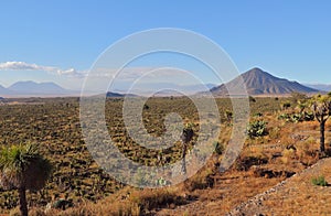 Cerro del pizarro volcano in puebla I photo