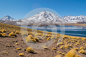 Cerro Miscanti, seen from the banks of Lagunas Miscanti located in the altiplano of the Antofagasta Region, in northern Chile