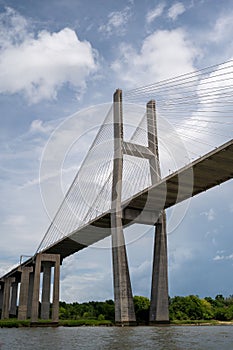 Certical shot of the Talmadge Memorial Bridge in Savannah, Georgia