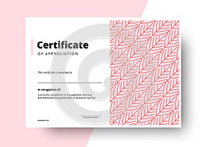 Certificate of appreciation template design. Elegant business diploma layout for training graduation or course completion. Vector