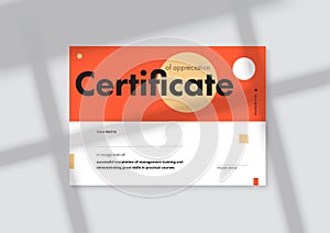 Certificate of appreciation template design. Elegant business diploma layout for training graduation or course completion. Vector