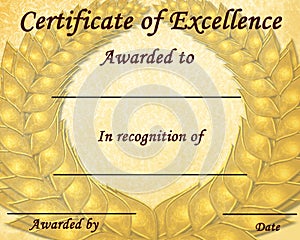 Certificate of excellence