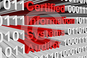 Certified Information Systems Auditor