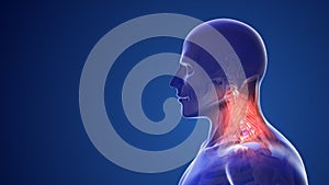 Cervical postural syndrome or neck pain