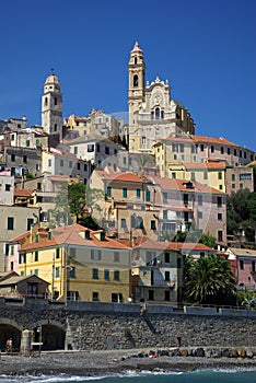 Cervo photo