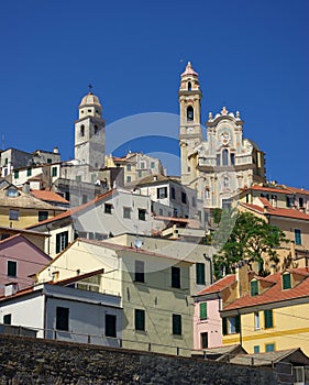 Cervo photo