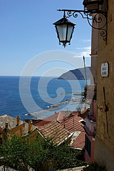 Cervo photo