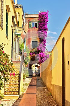 Cervo-Italian villages, towns and cities -Alley