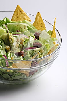 Cesar salad with nachos with white background