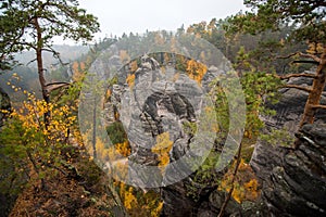 Cesky raj sandstone cliffs - Prachovske skaly, Czech Republic.