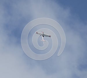 Cessna aircraft in steep climb