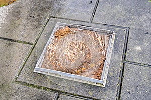 The Cesspool overflows