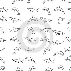 Cetacea animal pattern seamless photo