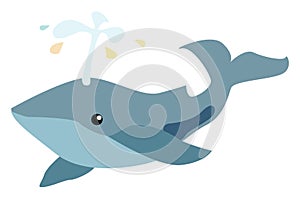 Cetacea, illustration, vector photo