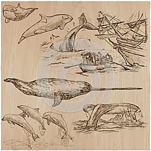 Cetaceans, Cetacea - An hand drawn vector pack, collection