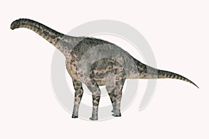 Jurassic Cetiosaurus Giant Sauropod Titanosaur that lived in Africa photo