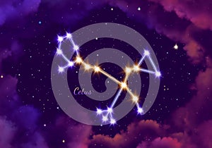 Illustration image of the constellation cetus