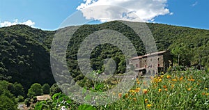 The Cevennes national park, Gard, France