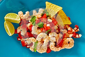 Ceviche de Camaron shrimp mexican food on blue