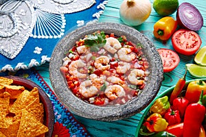 Ceviche de Camaron shrimp molcajete from Mexico