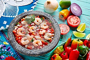 Ceviche de Camaron shrimp molcajete from Mexico