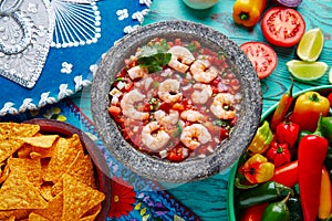 Ceviche de Camaron shrimp molcajete from Mexico