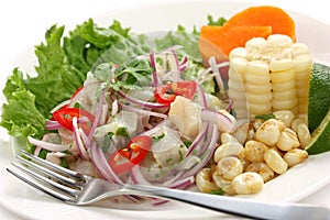 Ceviche, seafood dish, peruvian cuisine