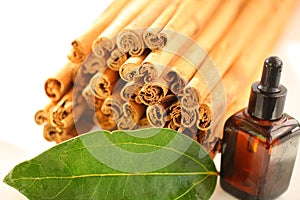 Ceylon cinnamon sticks wholesale packaging
