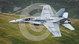 CF-18 Canadian Airforce demonstration team F18