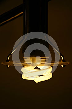 CFL bulb photo