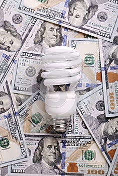 CFL Fluorescent Light Bulb on money dollar cash