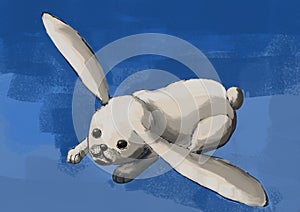 Cg painting rabbit fly
