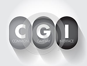 CGI Common Gateway Interface - provides the middleware between www servers and external databases and information sources, acronym photo