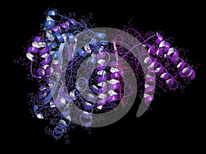 CGRP receptor (RAMP1:CLR fusion protein). Antagonists of the calcitonin gene-related peptide receptor (GCRP receptor antagonists) photo