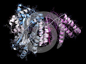 CGRP receptor (RAMP1:CLR fusion protein). Antagonists of the calcitonin gene-related peptide receptor (GCRP receptor antagonists) photo