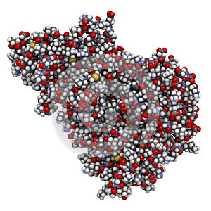 CGRP receptor (RAMP1:CLR fusion protein). Antagonists of the calcitonin gene-related peptide receptor (GCRP receptor antagonists) photo