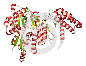 CGRP receptor (RAMP1:CLR fusion protein). Antagonists of the calcitonin gene-related peptide receptor (GCRP receptor antagonists) photo