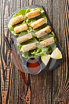 Cha Gio Vietnamese Fried Spring Rolls stuffed with chicken closeup on the plate. Vertical top view