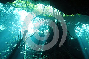 Chac Mool Cenote photo